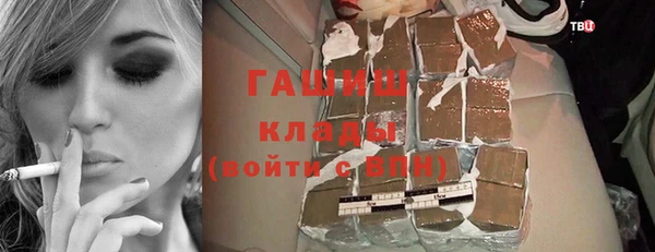 шишки Горняк
