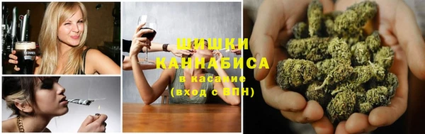 ПСИЛОЦИБИНОВЫЕ ГРИБЫ Чегем