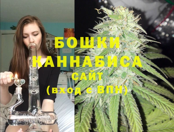 шишки Горняк