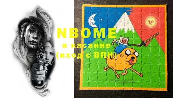 шишки Горняк
