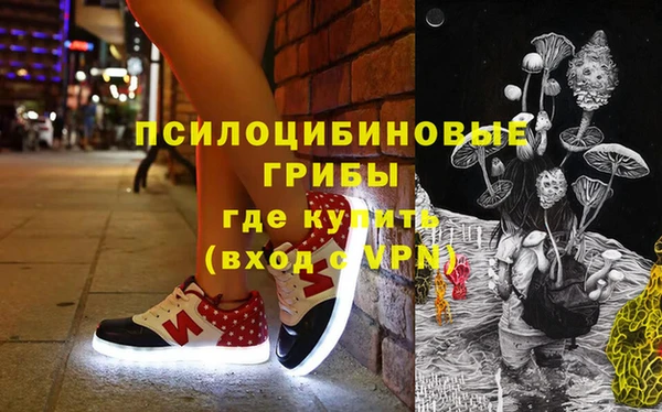 дживик Чердынь