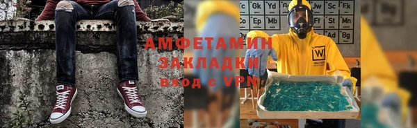 шишки Горняк