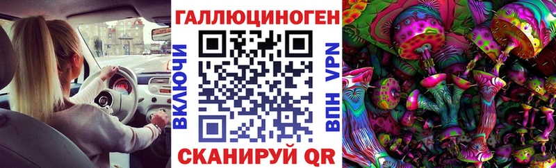 Галлюциногенные грибы Psilocybe  Невьянск 